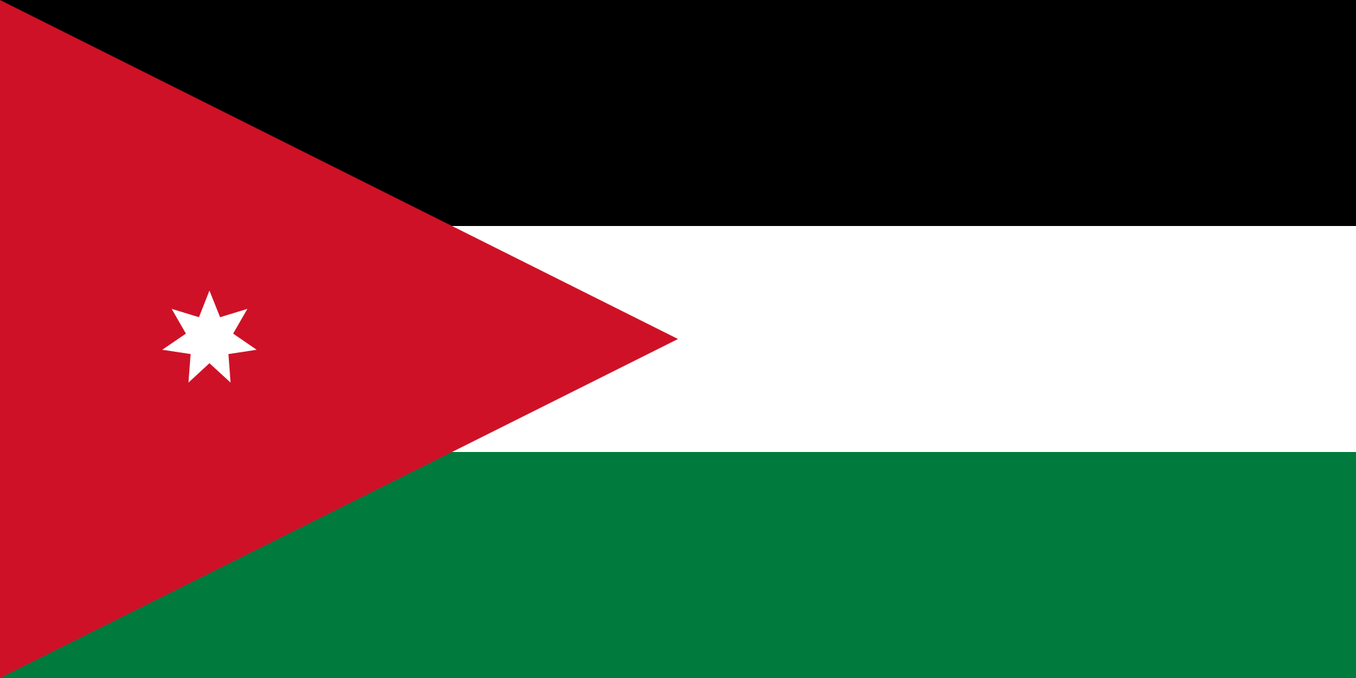 Natively Multilingual with Unmatched Arabic Support